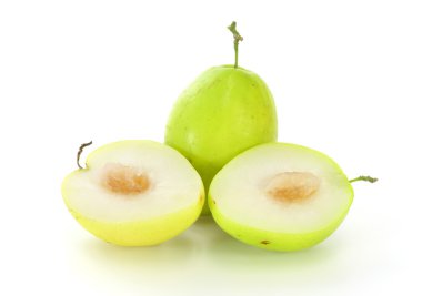 maymun apple beyaz zemin üzerine