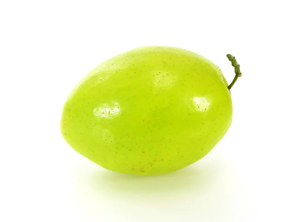 Μαϊμού μήλο σε λευκό φόντο — Φωτογραφία Αρχείου