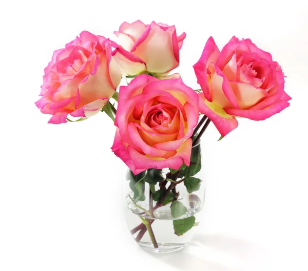 Ροζ τριαντάφυλλο σε λευκό φόντο — Φωτογραφία Αρχείου