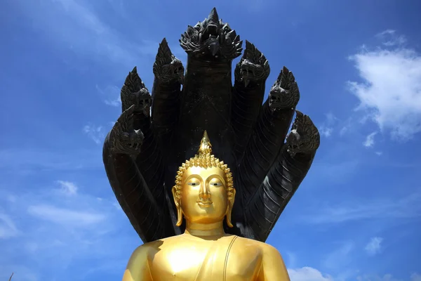 Buddha bild skyddas av den sju-headed naga. — Stockfoto