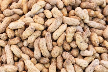 haşlanmış fıstık 