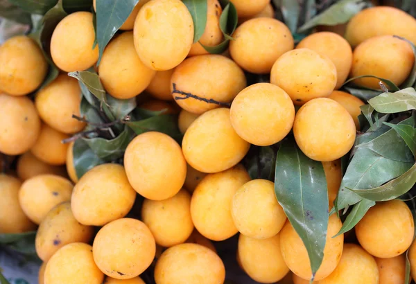 Mayongchid Maprang Prune mariale et mangue de prune thailand — Photo