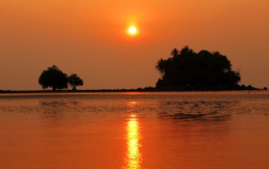 tropik sahilde s palmiye ağaçları Adası'nda günbatımı yansımaları ile