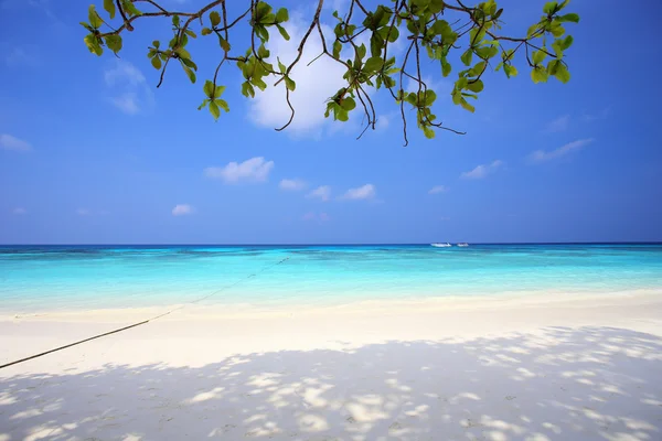 Tropical beach at Tachai Island in Phang-Nga, Thailand — Stock Photo, Image