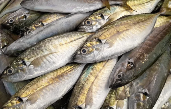 Frischer Fisch auf Eis auf dem Markt — Stockfoto