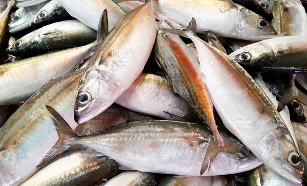 Frischer Fisch auf Eis auf dem Markt — Stockfoto