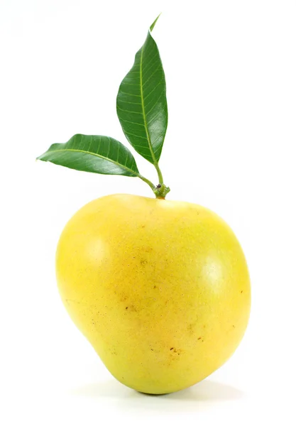 Apple mango on white — Stock Photo, Image