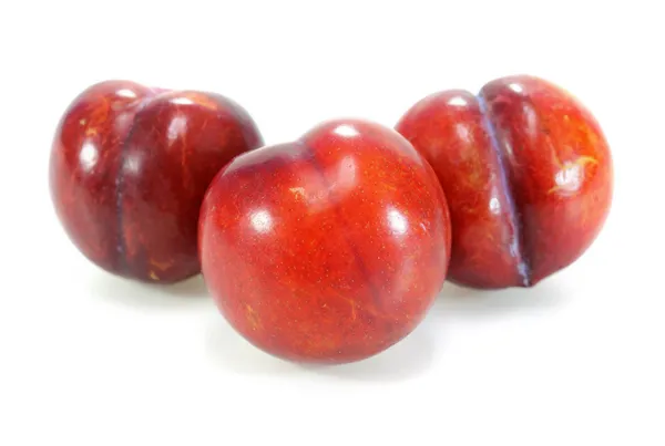 Rote Pflaumenfrüchte isoliert auf weißem Hintergrund — Stockfoto