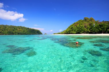 tropikal plaj, andaman Denizi koh rok Tayland 