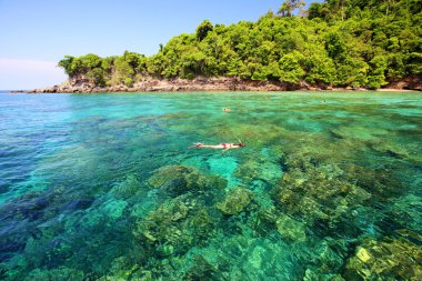 tropikal plaj, andaman Denizi koh rok Tayland 
