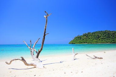 tropikal plaj, andaman Denizi koh rok Tayland 