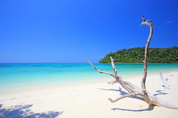 Τροπική παραλία, η θάλασσα andaman koh rok Ταϊλάνδη — Φωτογραφία Αρχείου