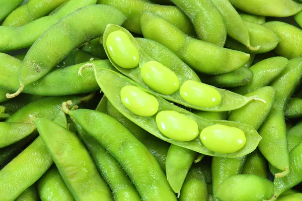 Edamame nibbles, kacang kedelai hijau rebus, makanan Jepang — Stok Foto