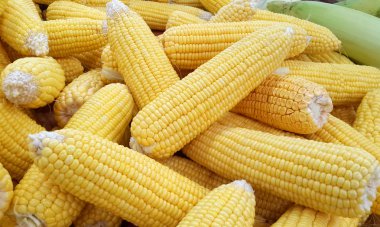 taze meyve Mısır piyasada 