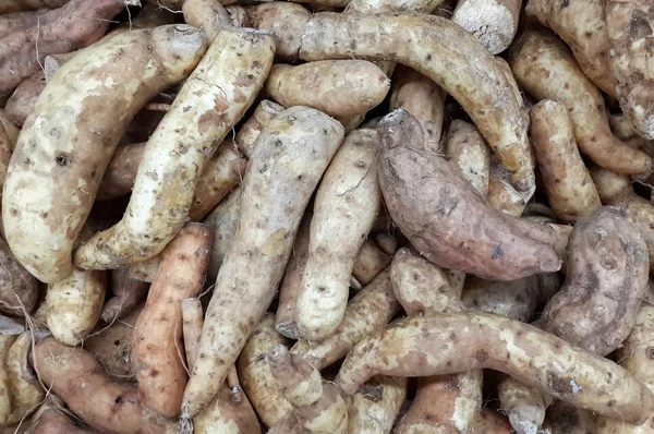 Sweet potato in the market — Stock Photo, Image