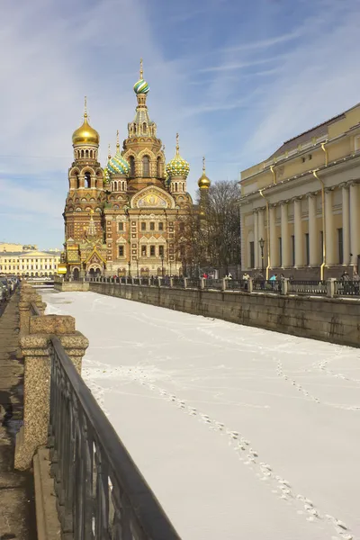 Kurtarıcının Kilisesi Kan Döküyor
