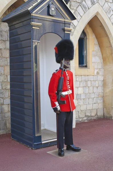 Royal Guard — Stock Photo, Image
