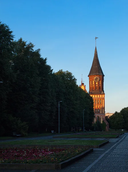 Cathedral, Kaliningrad — Stock Photo, Image