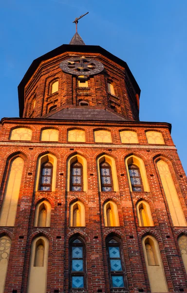 Catedral, Kaliningrado — Foto de Stock