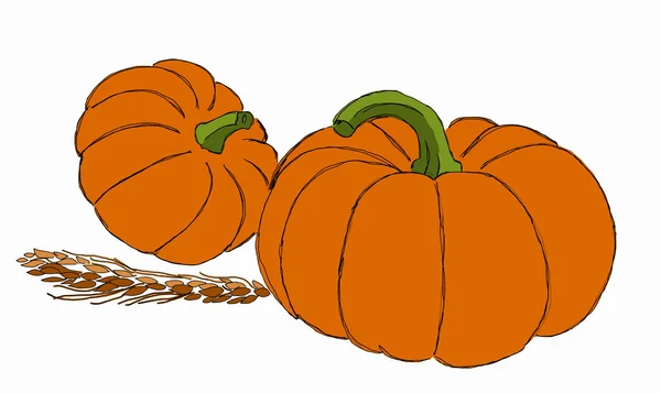 Calabazas — Archivo Imágenes Vectoriales