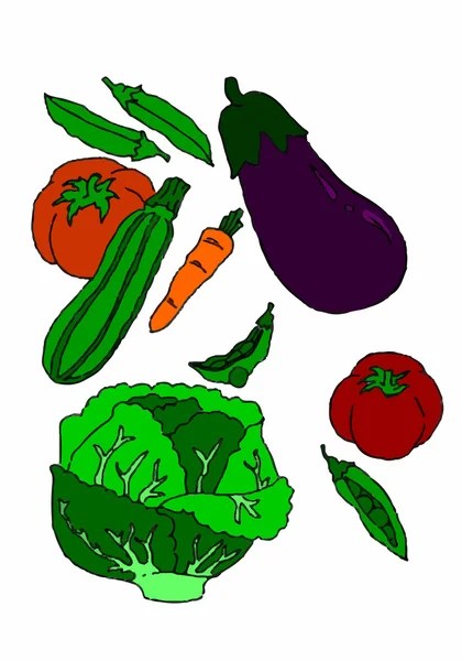 Variety of vegetables on white background — Stock Vector
