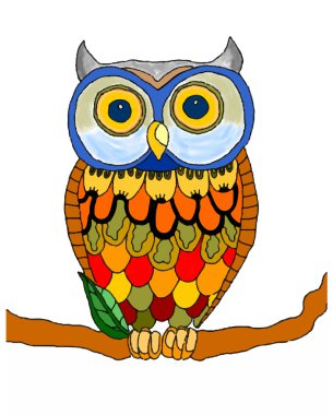 Beyaz arkaplanda baykuş