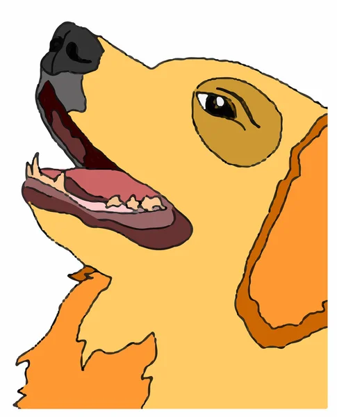 Perro labrador — Vector de stock