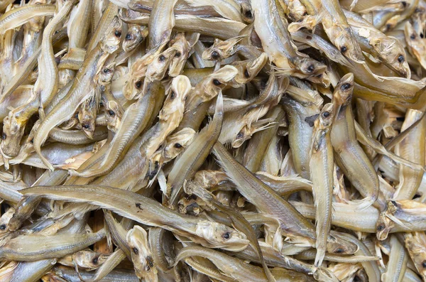 Dried Whisker Sheatfish use as background — Stock Photo, Image