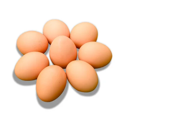 Grupo de Ovos isolados sobre fundo branco — Fotografia de Stock