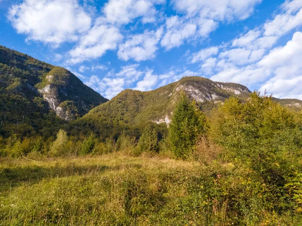 Вид Озеро Бохинь Триглавский Национальный Парк Словения — стоковое фото