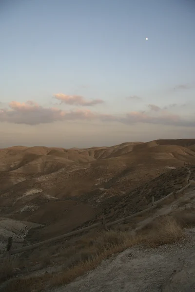 Wüste Negev — Stockfoto