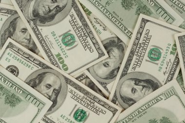 yüz dolar faturaları bir halı