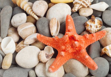 arka plan yuvarlak taş