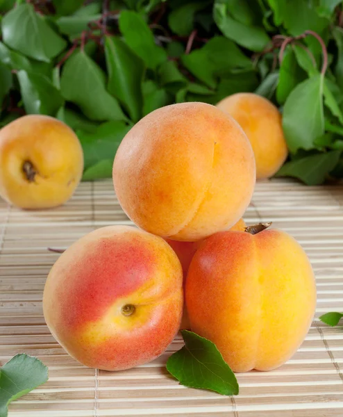Kulle saftigt ljust aprikos — Stockfoto