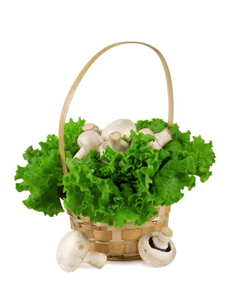 Cogumelos em uma cesta com alface — Fotografia de Stock