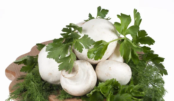 Mushrooms, parsley and dill — Stock Photo, Image