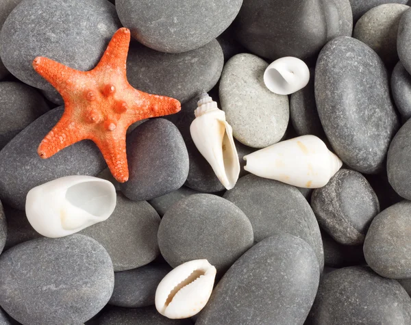 Orange five-pointed starfish — Stock Photo, Image