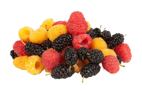 Mulberries — Stock Photo, Image