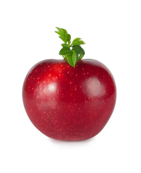 Красное яблоко с листьями — стоковое фото