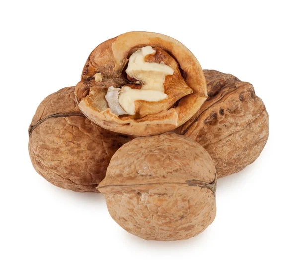 Nueces maduras — Foto de Stock