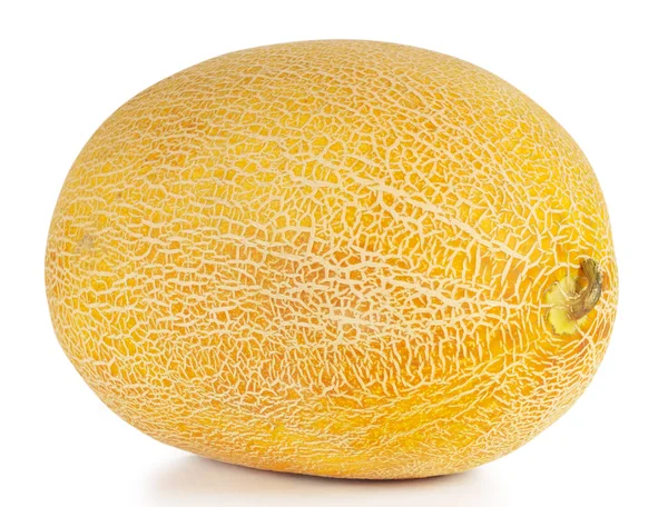 Melon ovale jaune mûr doux — Photo