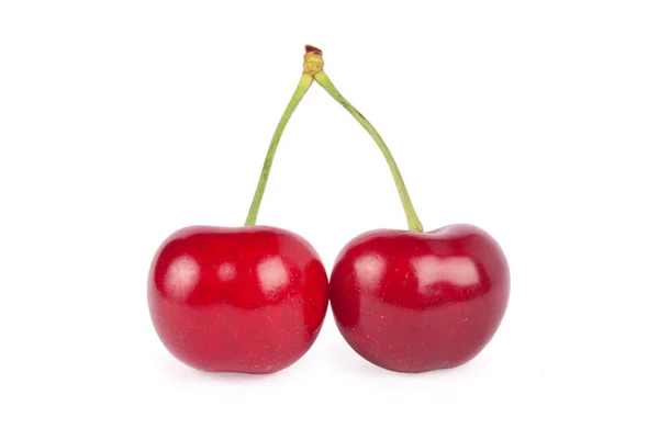 Duas cerejas vermelhas — Fotografia de Stock