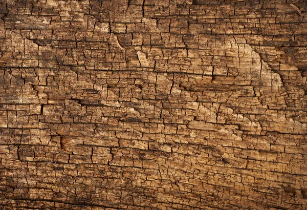 Achtergrond grof textuur hout — Stockfoto