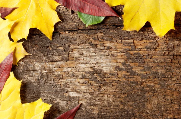 Fond de vieilles planches de bois — Photo