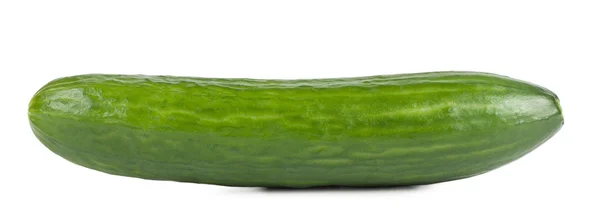 Ripe sweet green cucumber — Stock Photo, Image