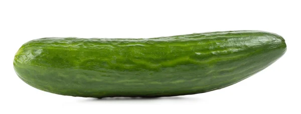 Güzel kokulu yeşil salatalık — Stok fotoğraf