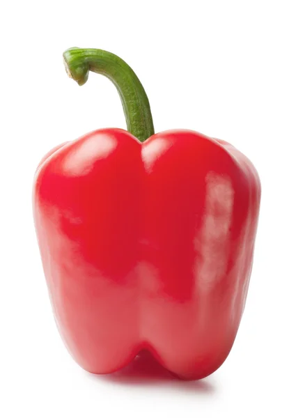 Bright bell peppers — Stock Photo, Image