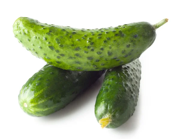 Three fresh cucumber — Stock Photo, Image