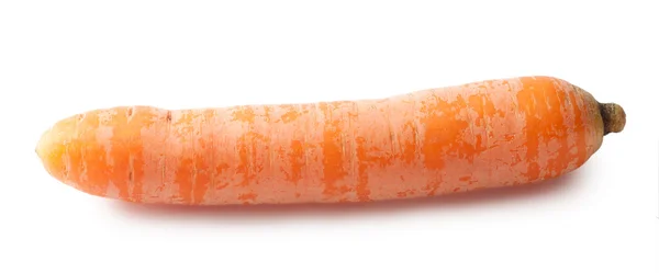 Šťavnatá oranžová mrkev — Stock fotografie
