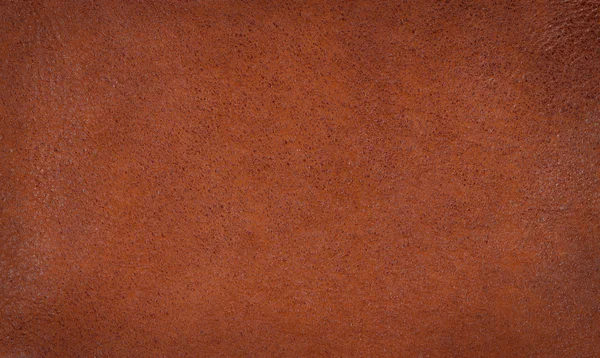 Background of brown a leather tanned — Stock Photo, Image
